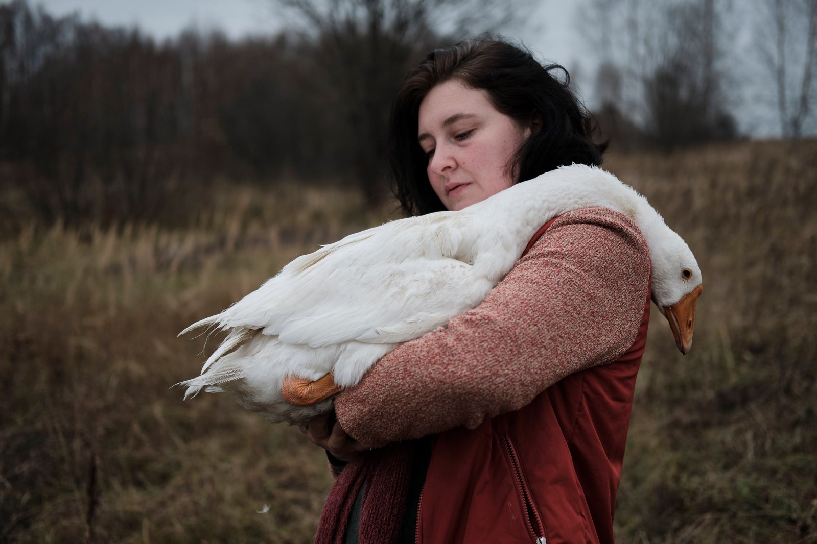Alena, head of shelter for wild birds for Novaya Gazeta