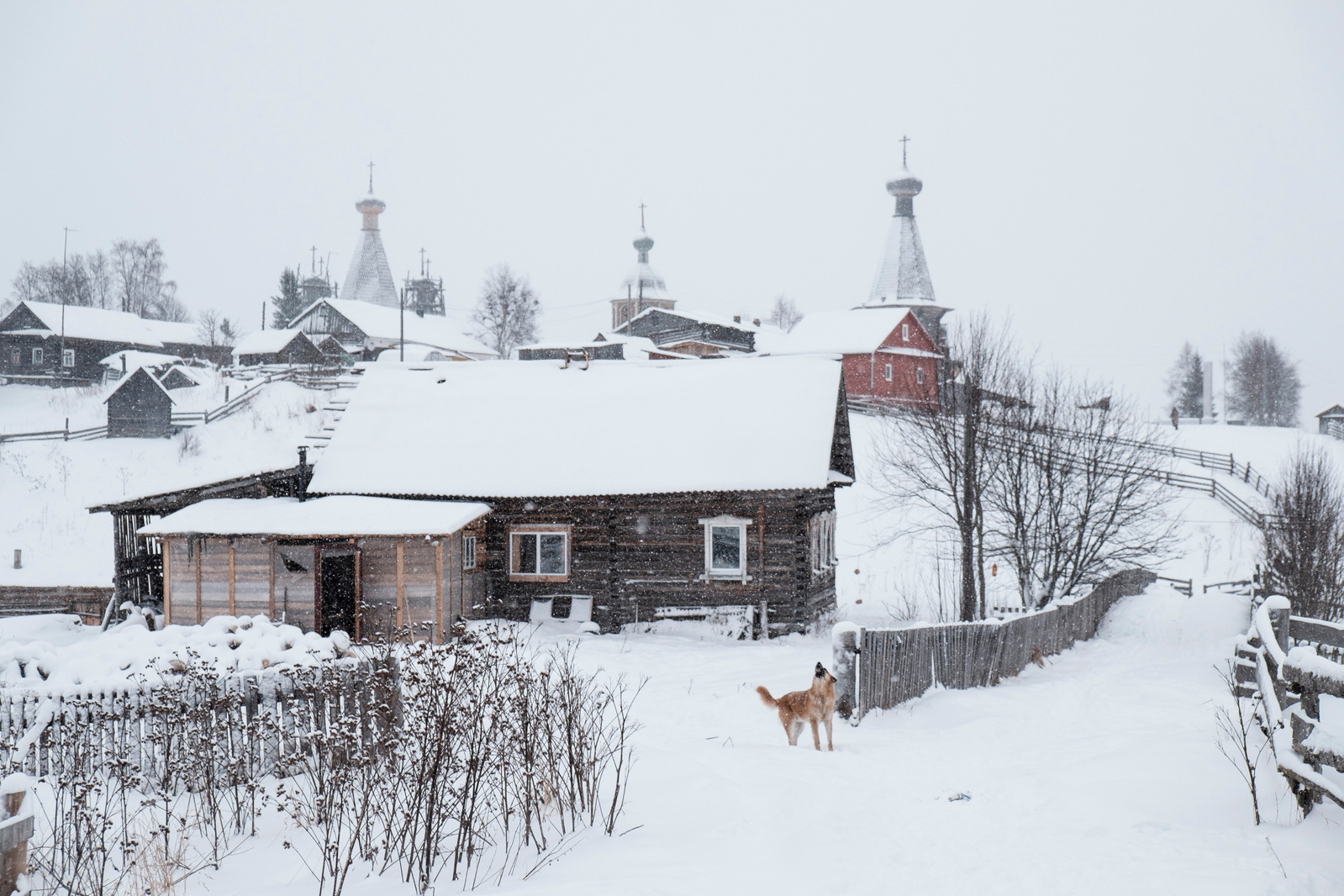Paberega Village, Arkhangelsk Region for Zapovednik